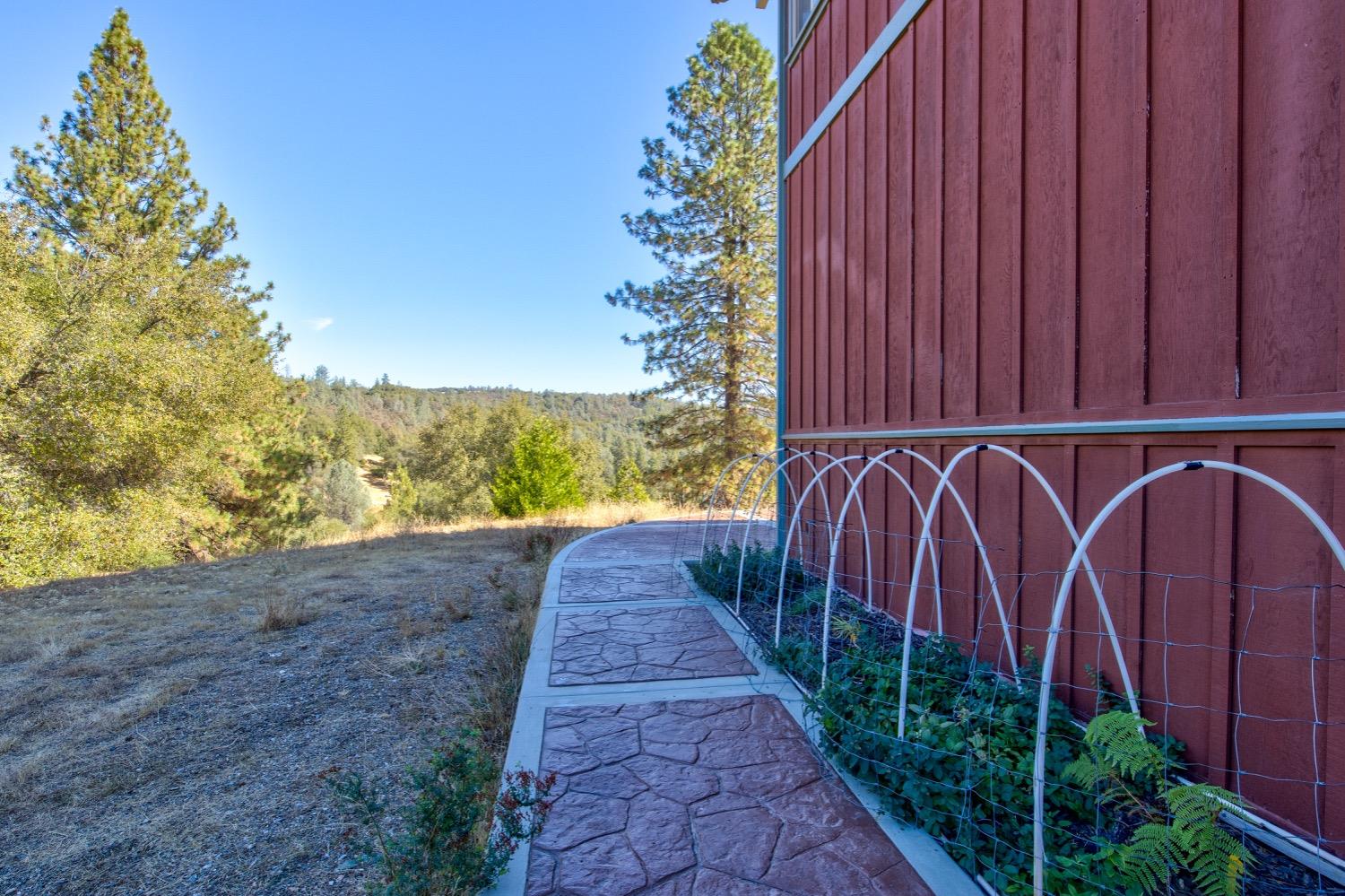 Detail Gallery Image 49 of 98 For 19277 Cedar Pines Dr, Fiddletown,  CA 95629 - 1 Beds | 2/2 Baths