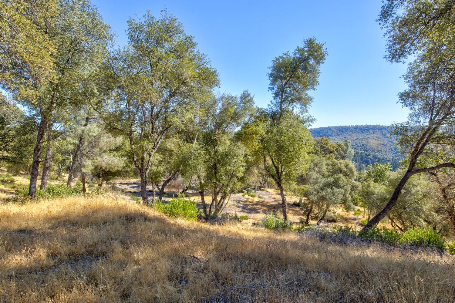 Detail Gallery Image 76 of 98 For 19277 Cedar Pines Dr, Fiddletown,  CA 95629 - 1 Beds | 2/2 Baths