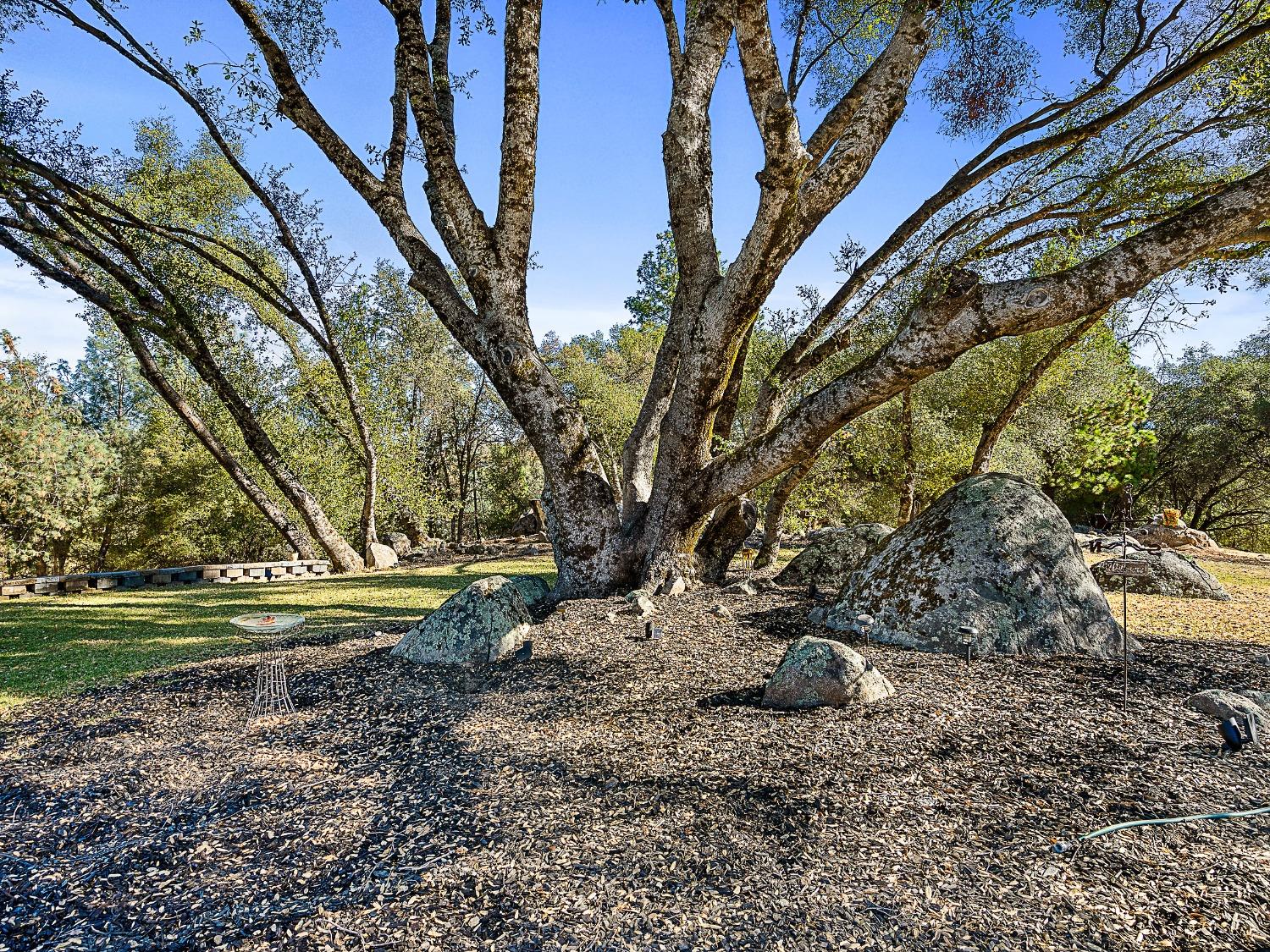 Detail Gallery Image 45 of 52 For 3102 Squirrel Hollow Rd, Somerset,  CA 95684 - 3 Beds | 3/1 Baths