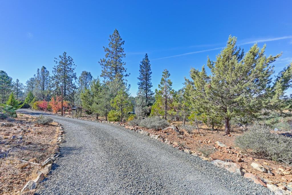 Detail Gallery Image 36 of 40 For 13636 Brannon Ct, Nevada City,  CA 95959 - 2 Beds | 2/2 Baths