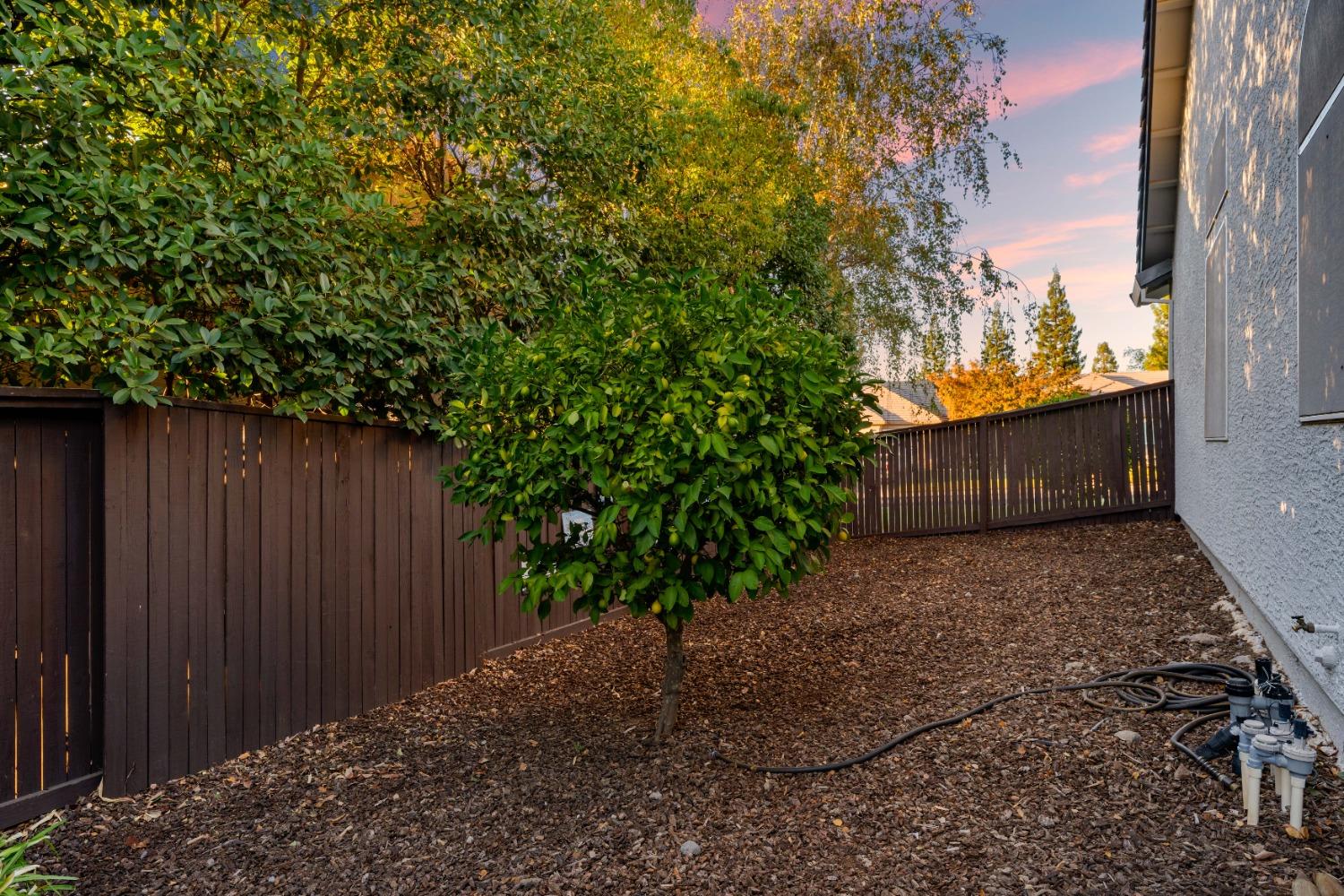 Detail Gallery Image 31 of 40 For 4904 Moonshadow Ct, Rocklin,  CA 95677 - 4 Beds | 2/1 Baths