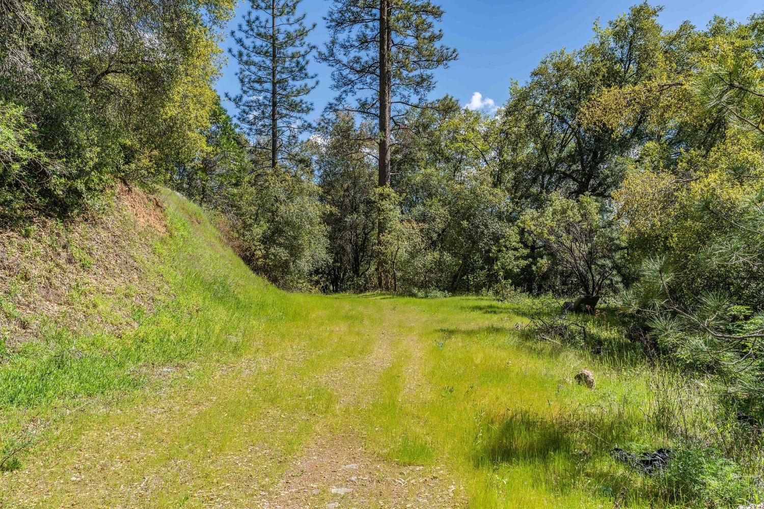 Detail Gallery Image 5 of 13 For 0 12.55 Acres on Red Corral Rd Rd, Pioneer,  CA 95666 - – Beds | – Baths