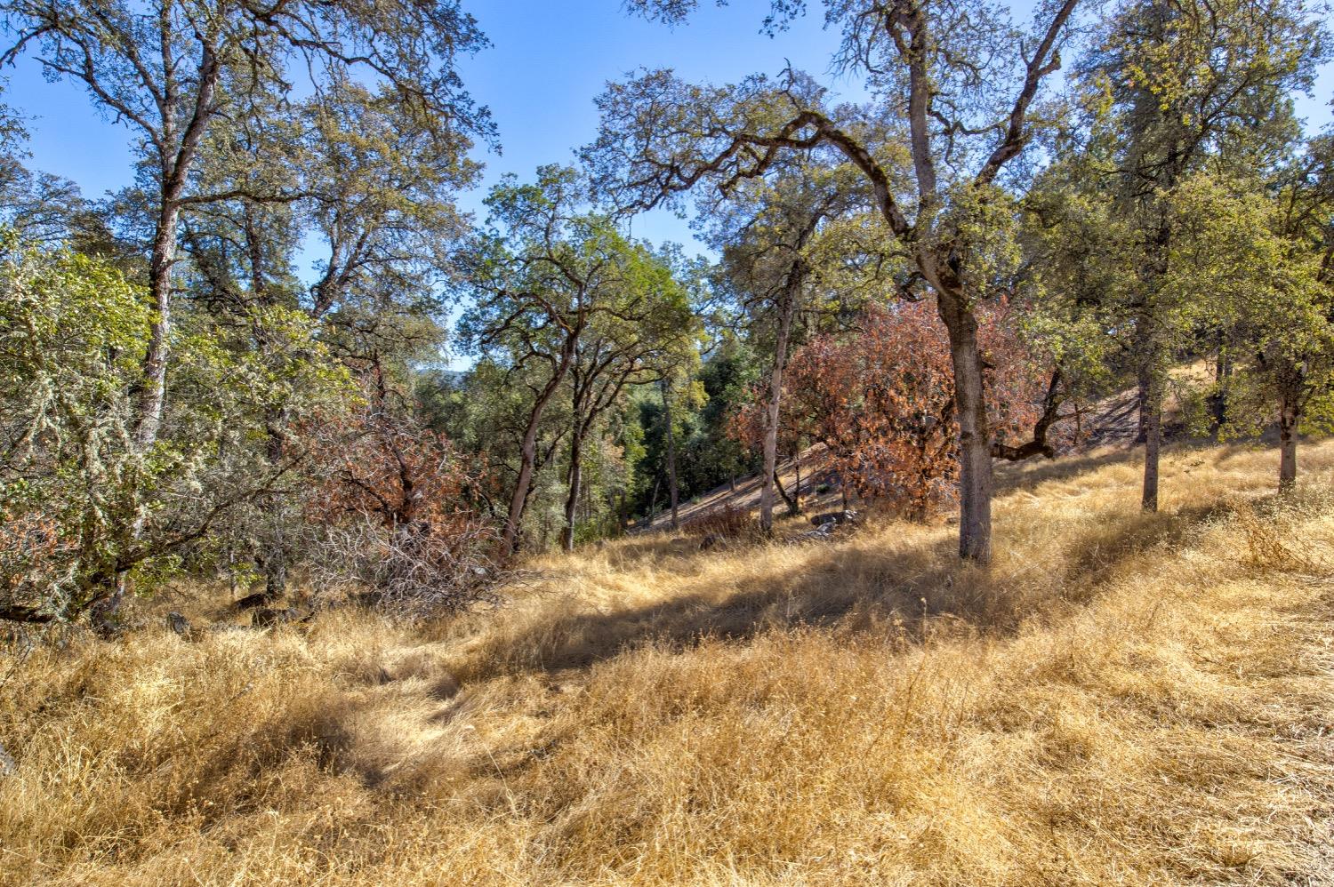 Detail Gallery Image 38 of 98 For 19277 Cedar Pines Dr, Fiddletown,  CA 95629 - 1 Beds | 2/2 Baths