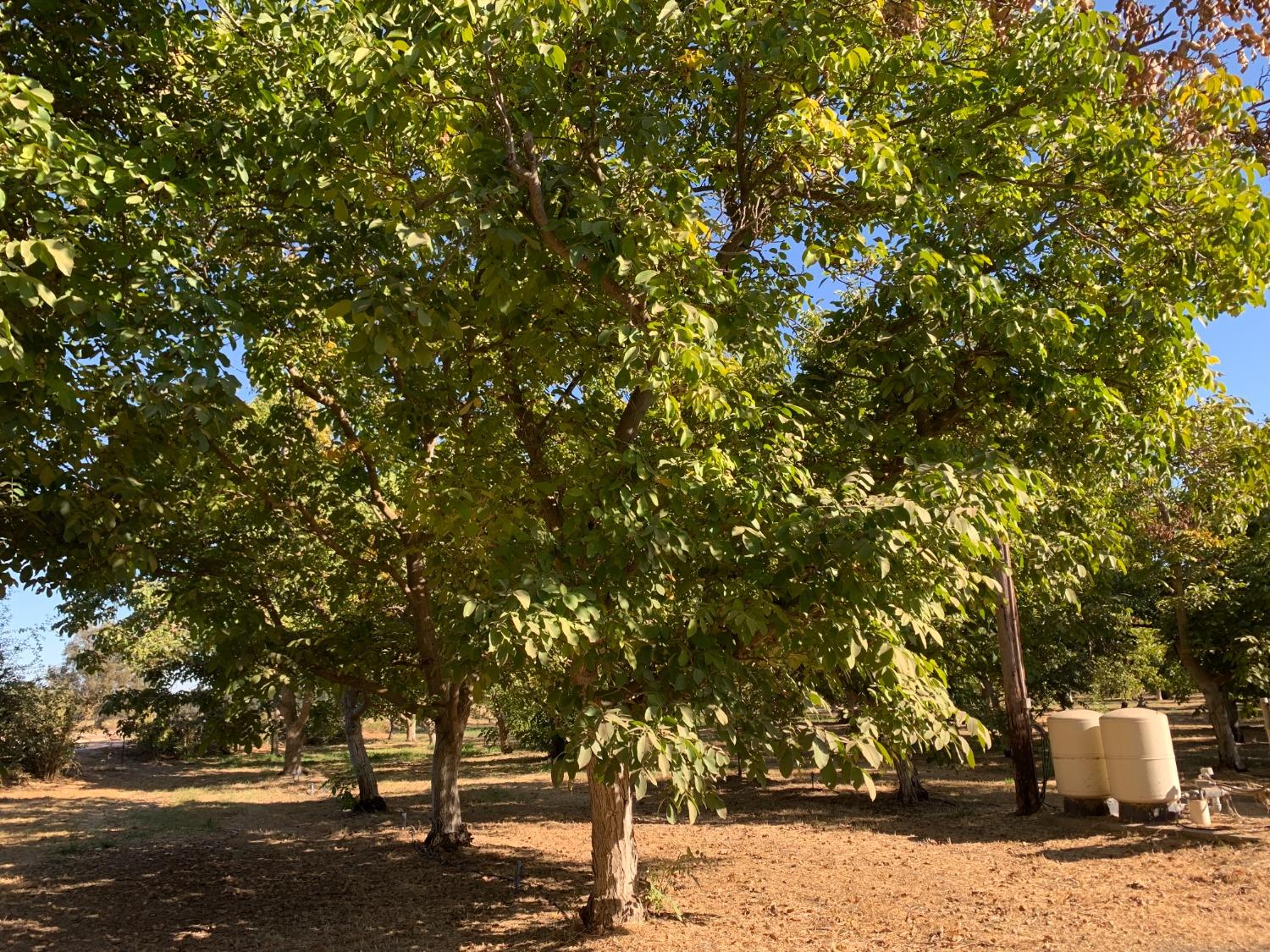 Detail Gallery Image 43 of 47 For 700 Wellsford Rd, Modesto,  CA 95357 - 3 Beds | 1 Baths