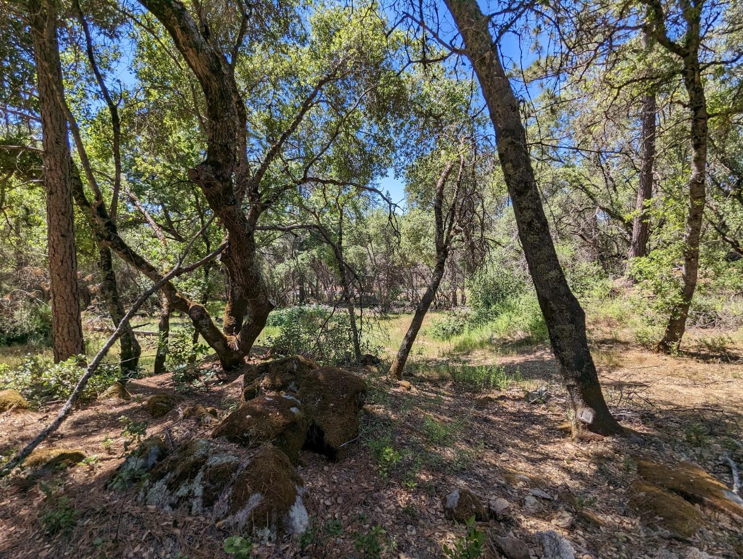 Detail Gallery Image 29 of 60 For 20358 Mccourtney Rd, Grass Valley,  CA 95949 - 6 Beds | 5 Baths