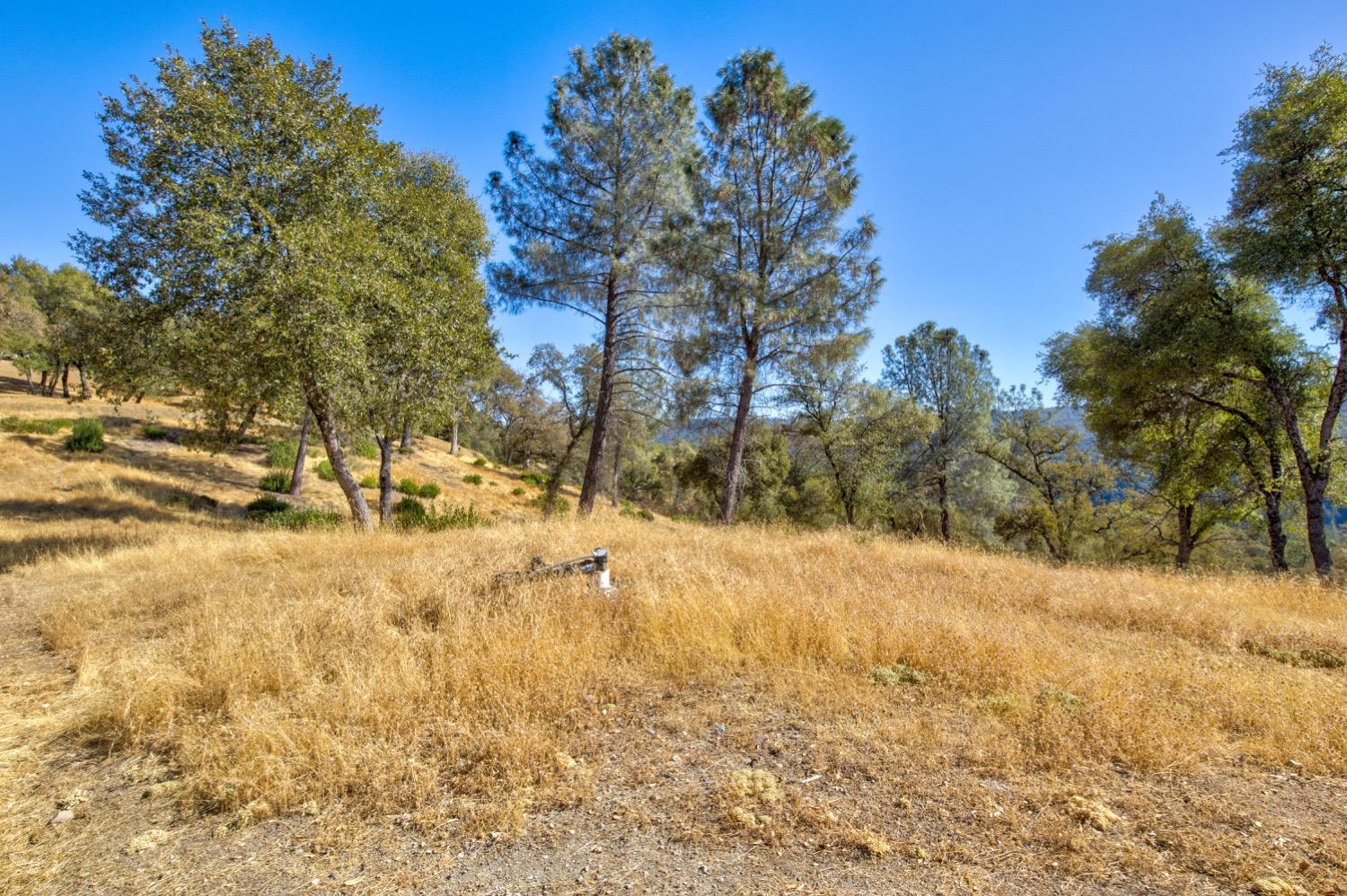 Detail Gallery Image 73 of 98 For 19277 Cedar Pines Dr, Fiddletown,  CA 95629 - 1 Beds | 2/2 Baths