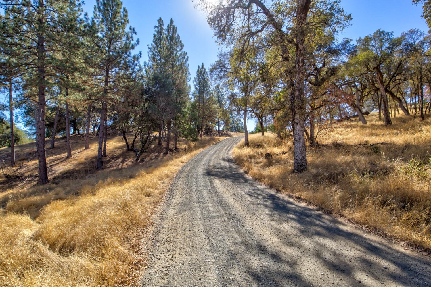 Detail Gallery Image 39 of 98 For 19277 Cedar Pines Dr, Fiddletown,  CA 95629 - 1 Beds | 2/2 Baths