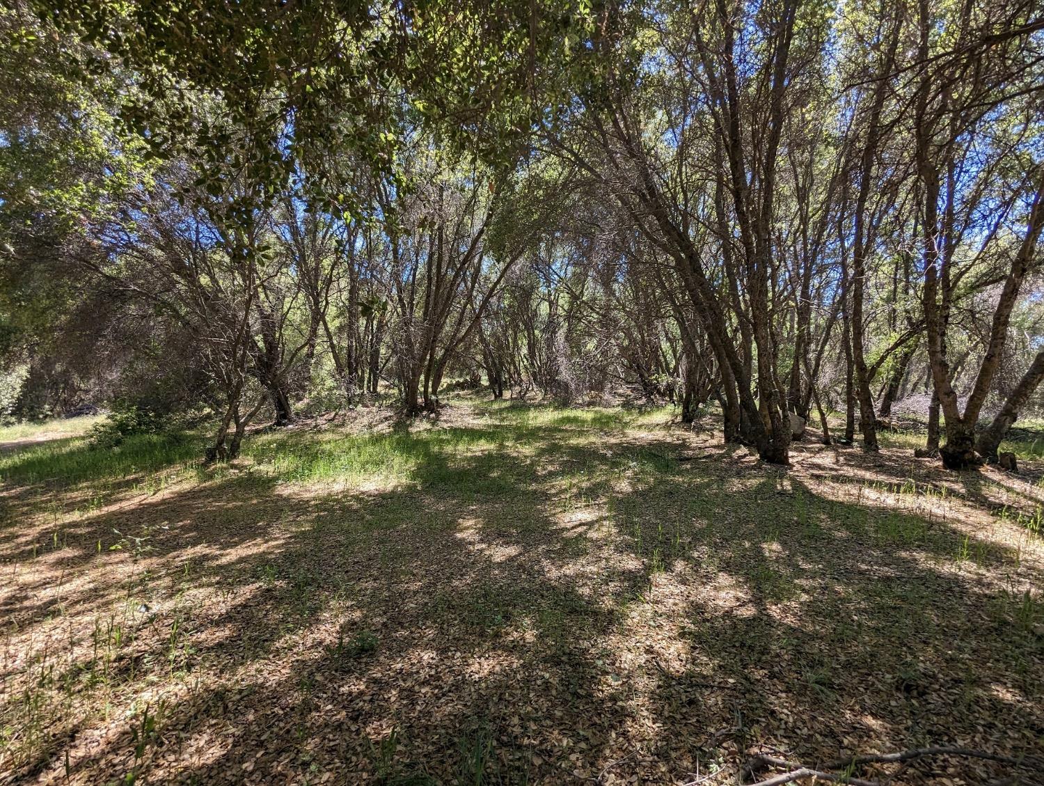 Detail Gallery Image 40 of 60 For 20358 Mccourtney Rd, Grass Valley,  CA 95949 - 6 Beds | 5 Baths