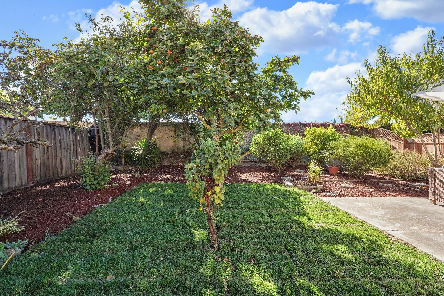 Detail Gallery Image 38 of 45 For 33050 Calistoga St, Union City,  CA 94587 - 4 Beds | 3/1 Baths