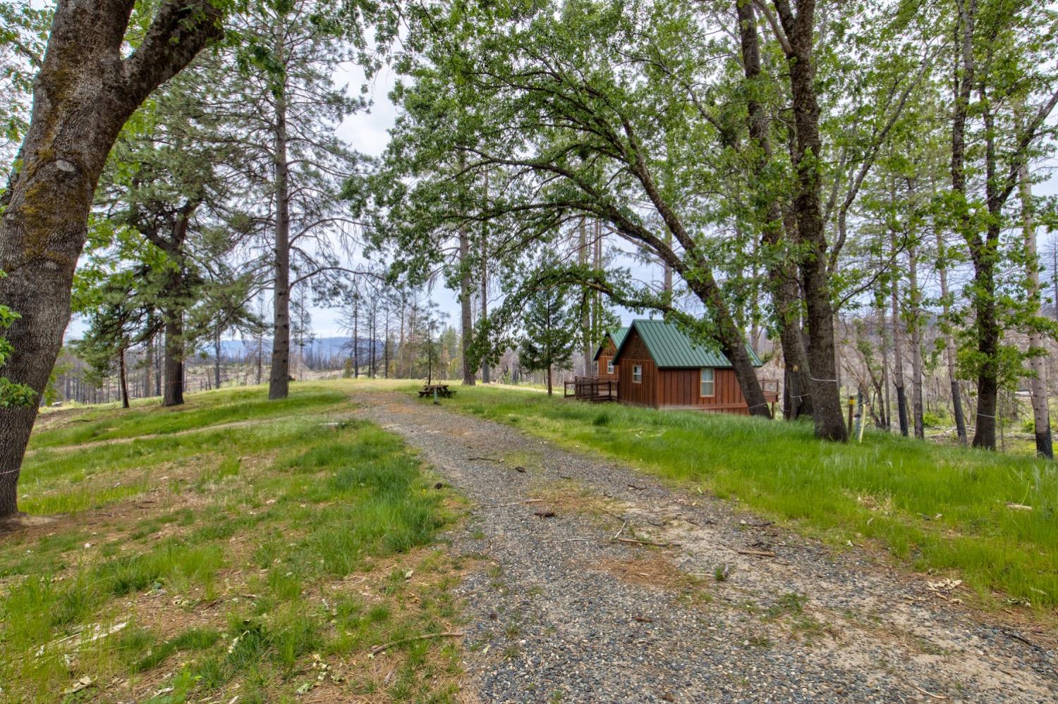 Detail Gallery Image 7 of 84 For 445 Zink Rd, Berry Creek,  CA 95916 - – Beds | – Baths