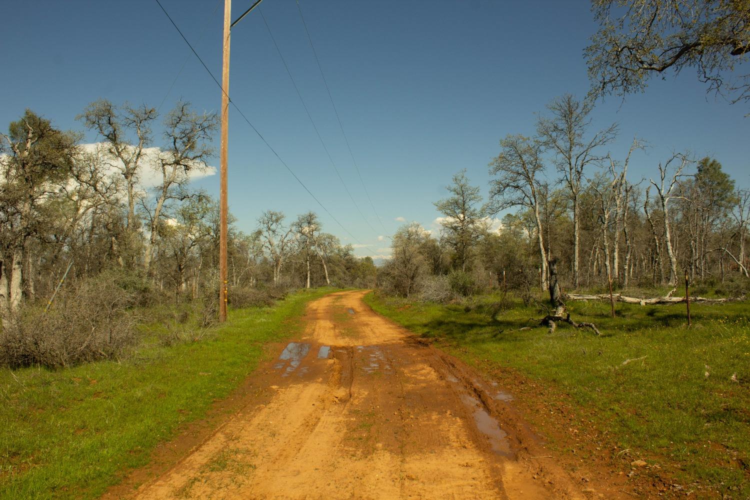 Schilling Road, Coulterville, California image 3