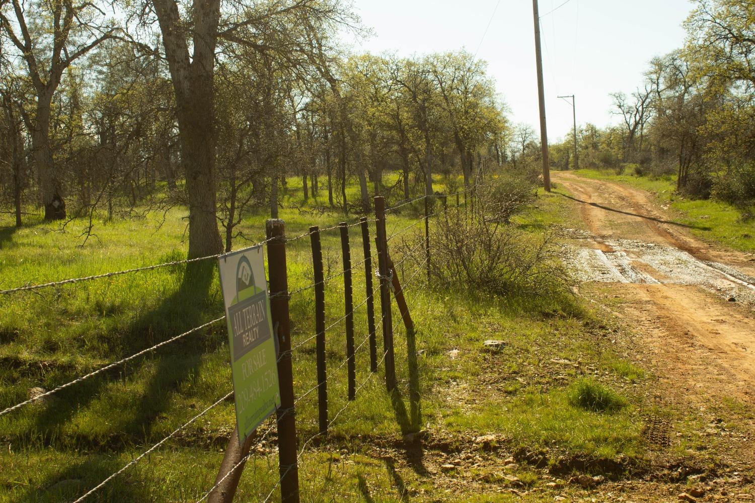 Schilling Road, Coulterville, California image 7