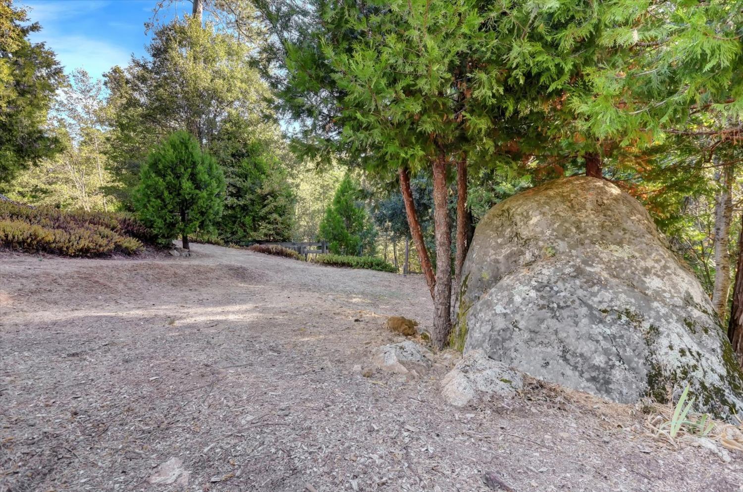 Detail Gallery Image 67 of 96 For 10680 Willow Valley Rd, Nevada City,  CA 95959 - 3 Beds | 2 Baths