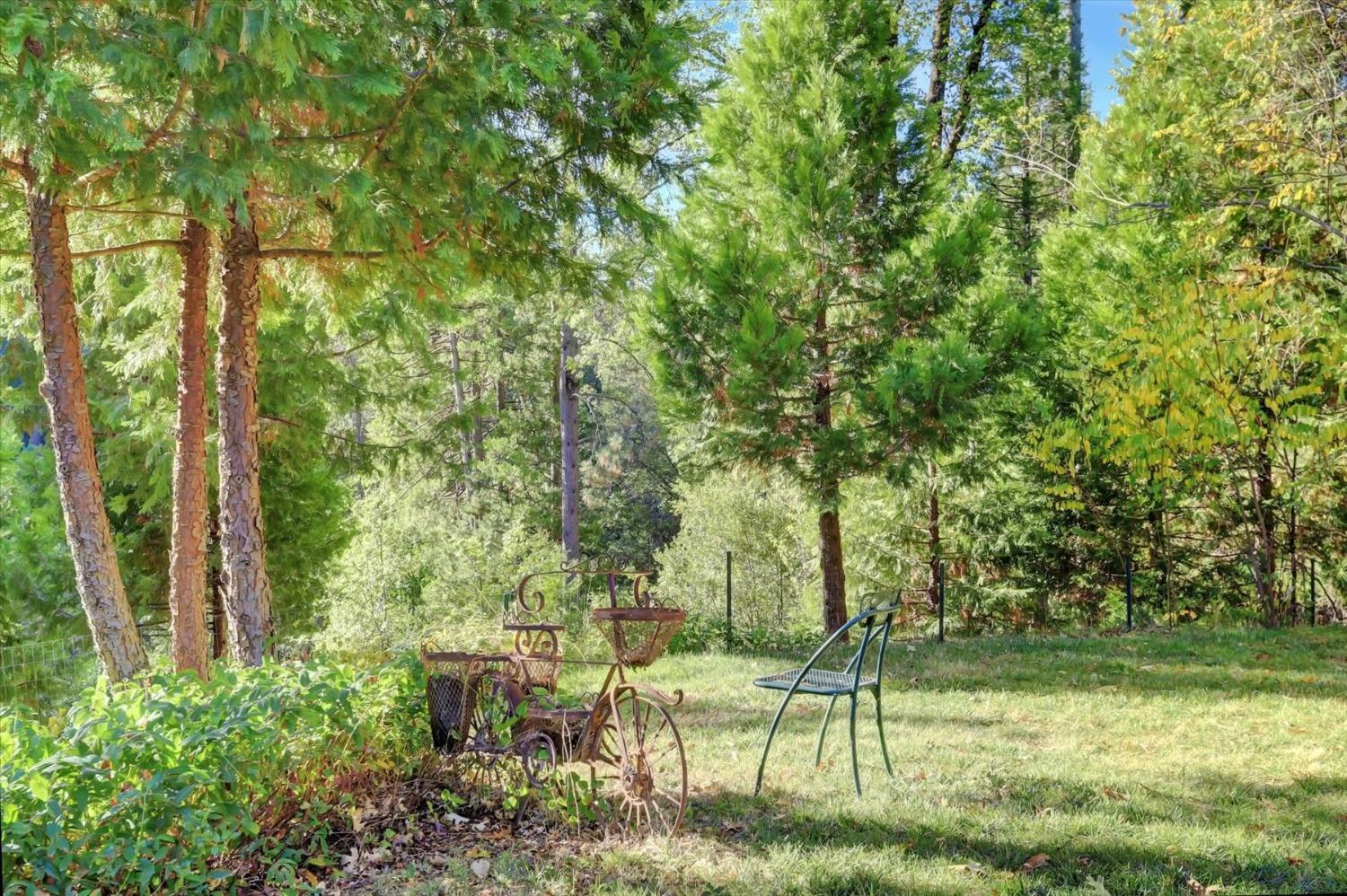 Detail Gallery Image 50 of 96 For 10680 Willow Valley Rd, Nevada City,  CA 95959 - 3 Beds | 2 Baths