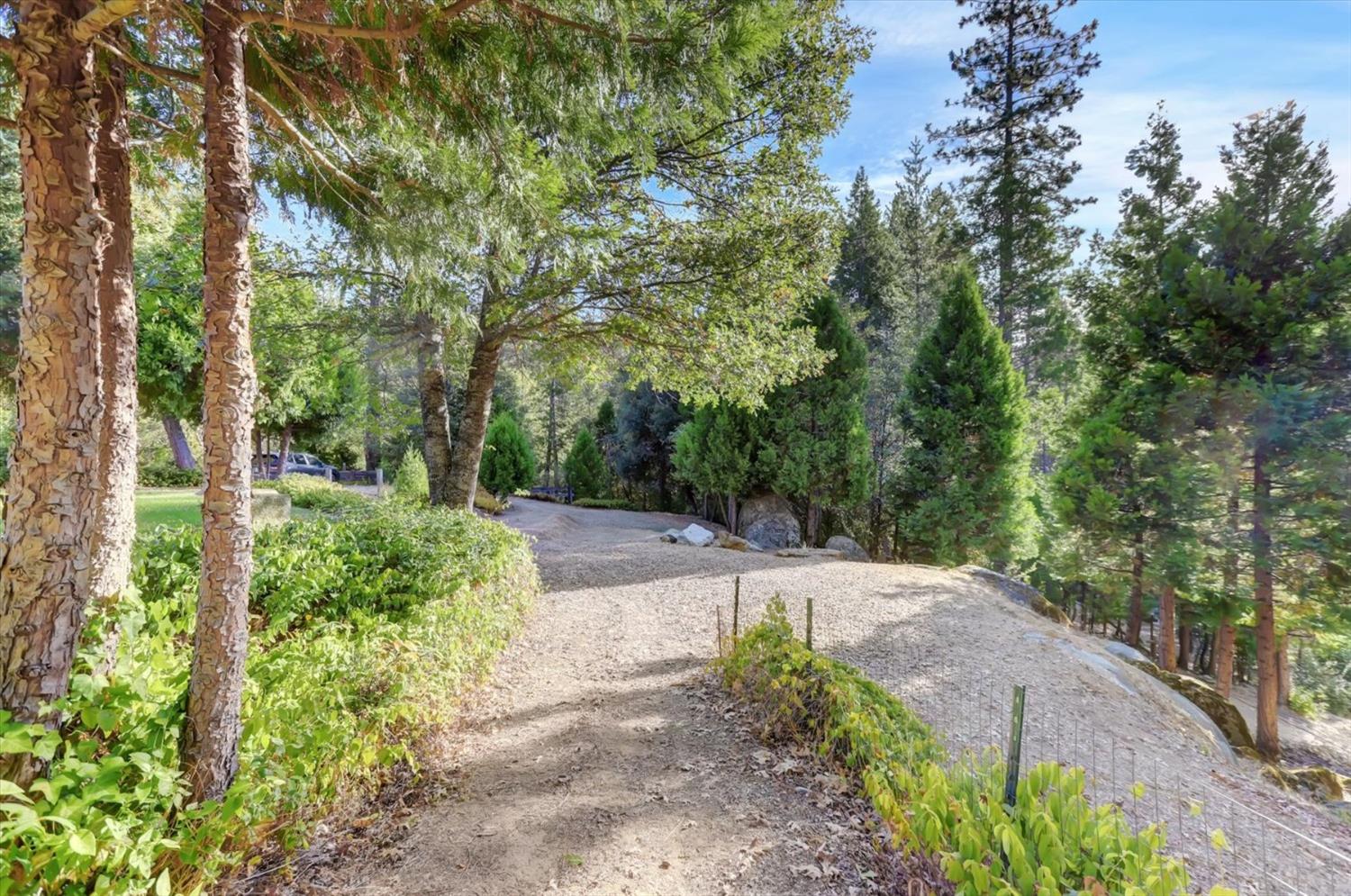 Detail Gallery Image 52 of 96 For 10680 Willow Valley Rd, Nevada City,  CA 95959 - 3 Beds | 2 Baths