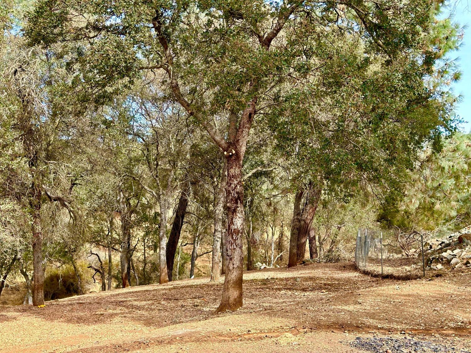 Detail Gallery Image 57 of 60 For 8243 Hedgpeth, Valley Springs,  CA 95252 - 3 Beds | 2 Baths