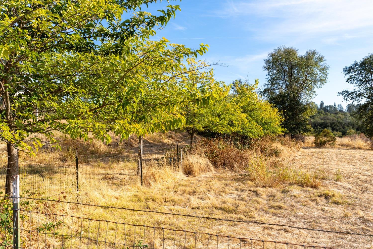 Oakvale Avenue, Oroville, California image 14