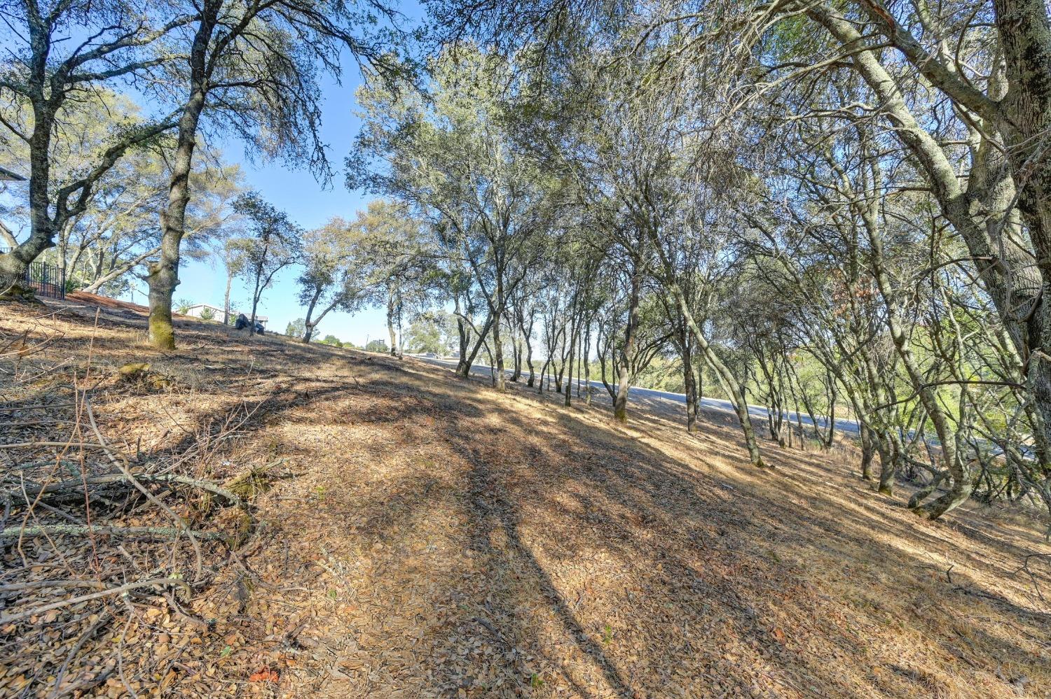 Detail Gallery Image 10 of 14 For 6084 Western Sierra Way, El Dorado Hills,  CA 95762 - – Beds | – Baths