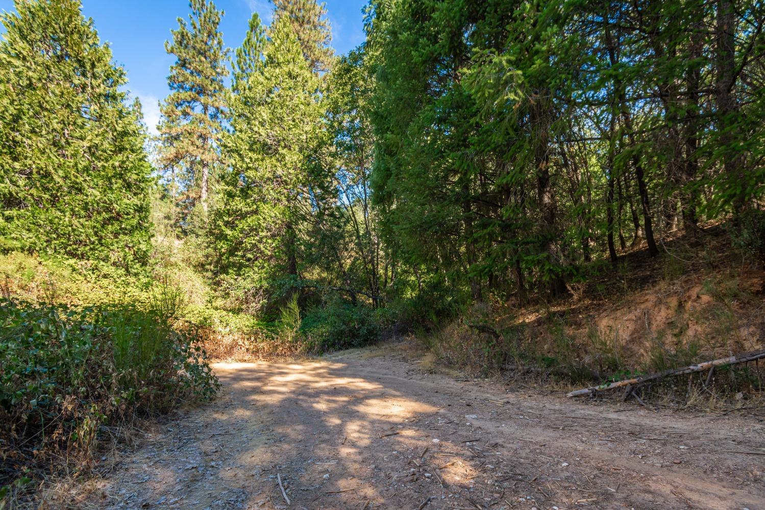 Detail Gallery Image 35 of 39 For 5080 Black Oak Mine Road Rd, Garden Valley,  CA 95633 - 2 Beds | 1 Baths