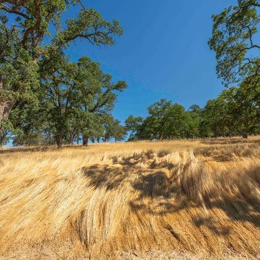 Detail Gallery Image 5 of 11 For 6583 Western Sierra Way, El Dorado Hills,  CA 95762 - – Beds | – Baths