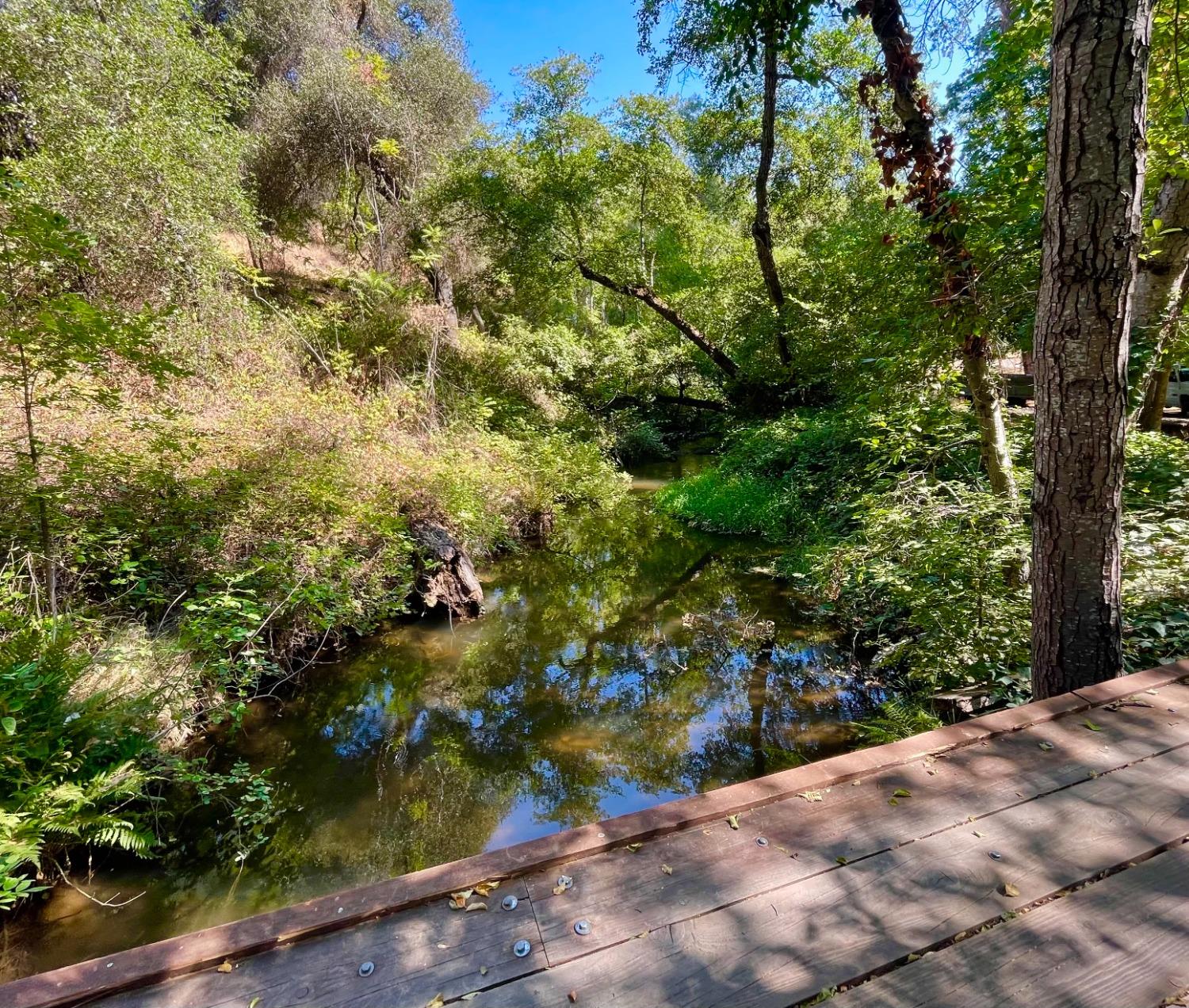 Detail Gallery Image 52 of 68 For 3859 Murphys Grade Rd, Angels Camp,  CA 95222 - 3 Beds | 2/1 Baths