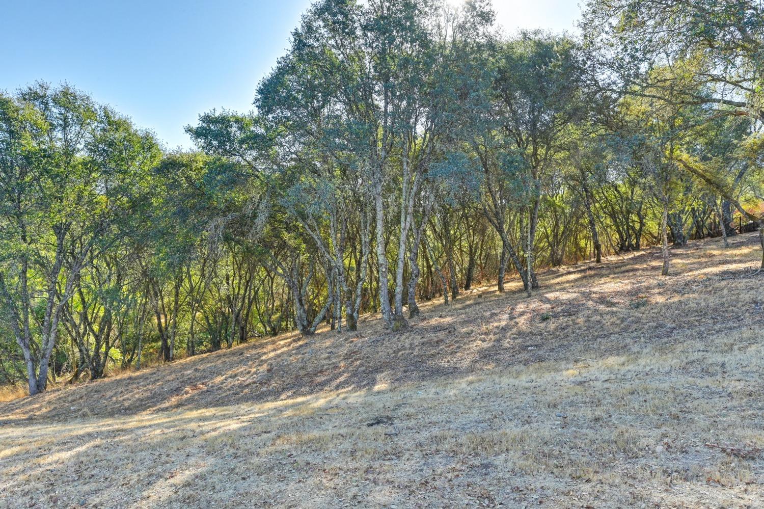 Detail Gallery Image 4 of 14 For 6084 Western Sierra Way, El Dorado Hills,  CA 95762 - – Beds | – Baths