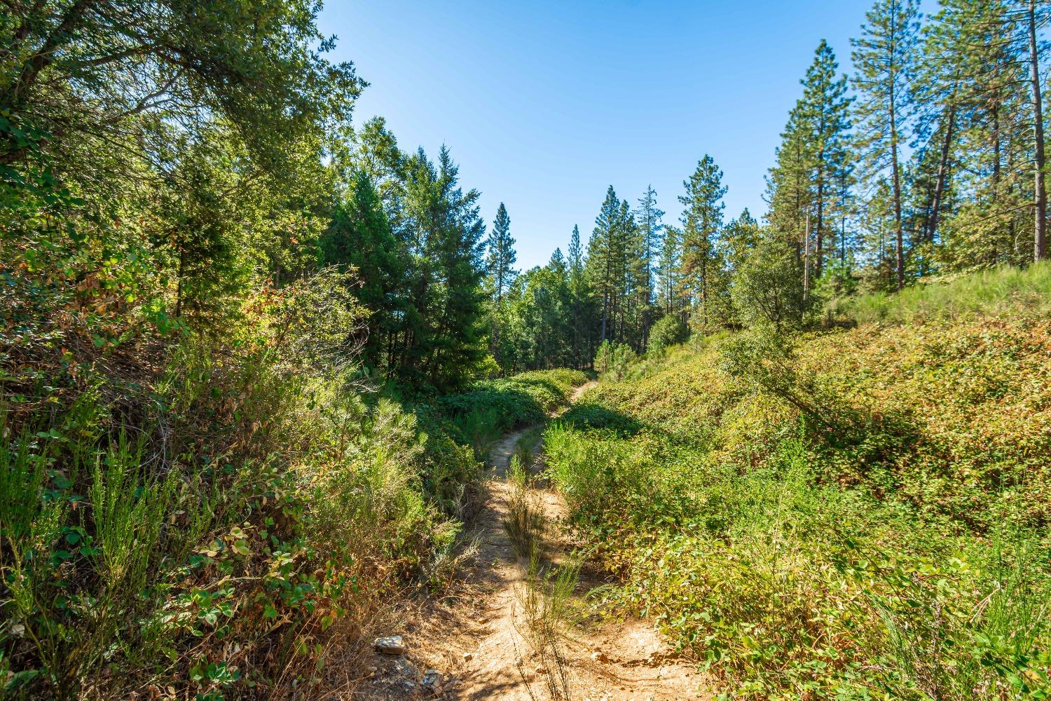 Detail Gallery Image 32 of 39 For 5080 Black Oak Mine Road Rd, Garden Valley,  CA 95633 - 2 Beds | 1 Baths