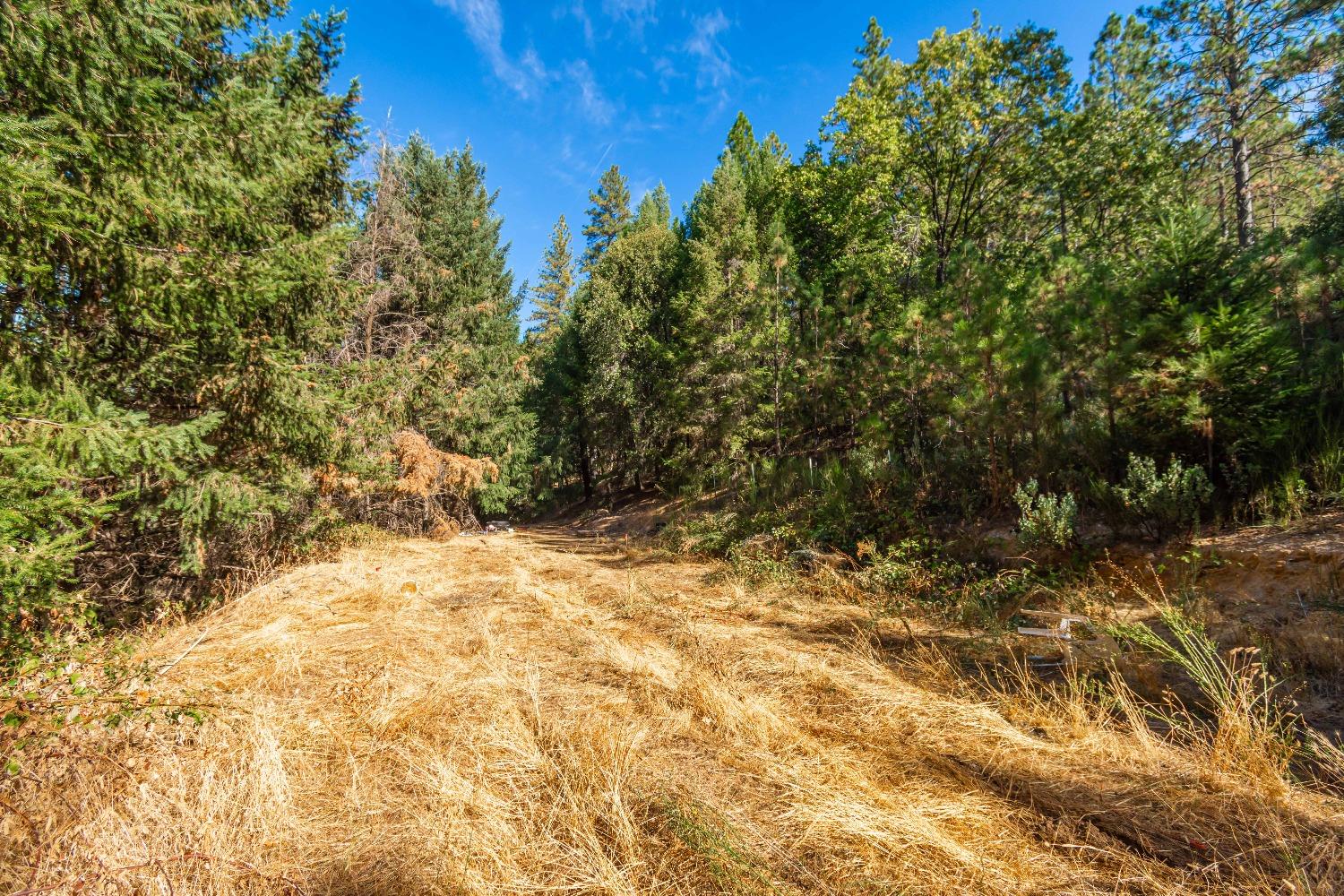 Detail Gallery Image 38 of 39 For 5080 Black Oak Mine Road Rd, Garden Valley,  CA 95633 - 2 Beds | 1 Baths