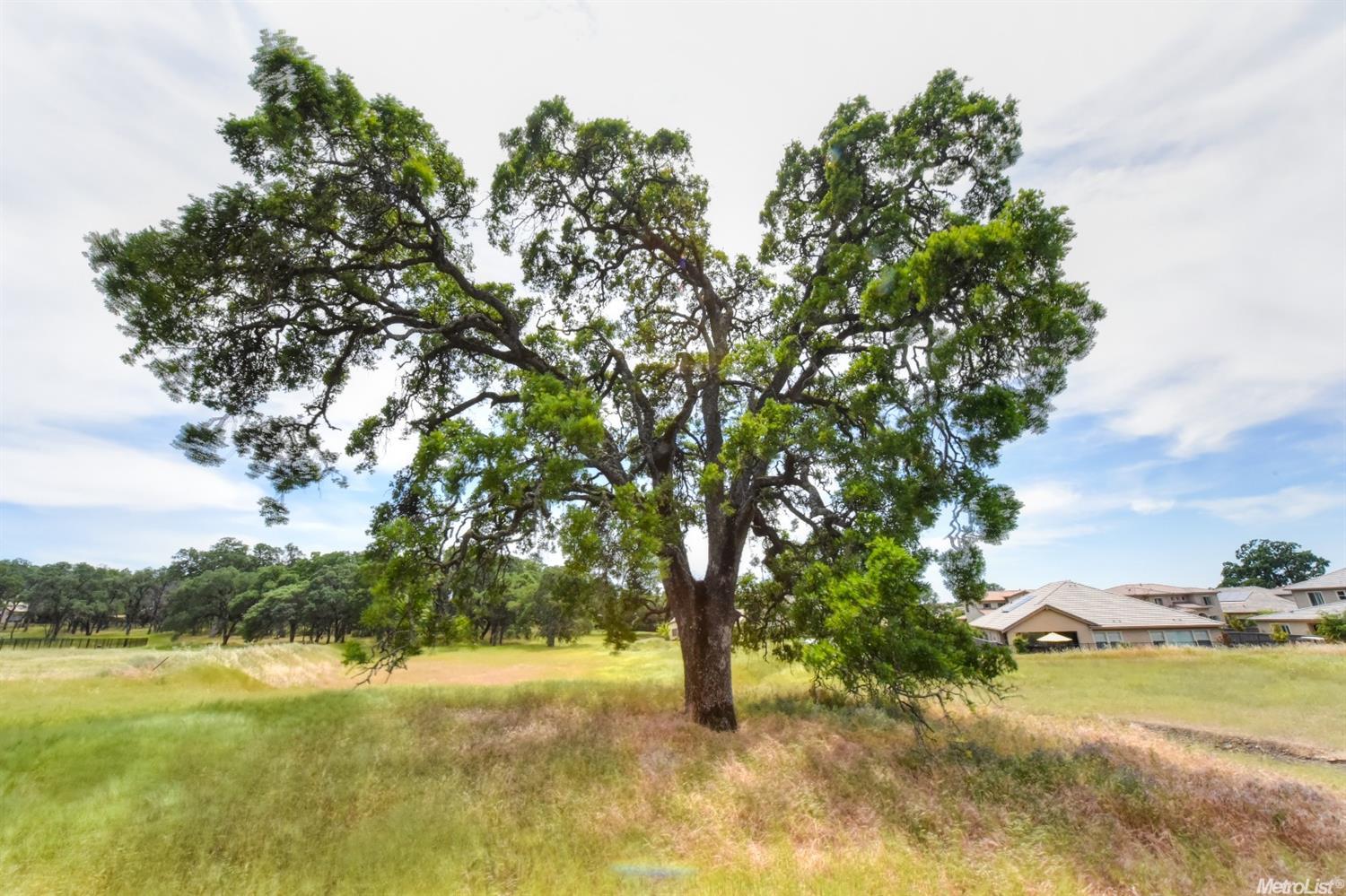 Detail Gallery Image 8 of 10 For 353 El Greco Ct, El Dorado Hills,  CA 95762 - – Beds | – Baths