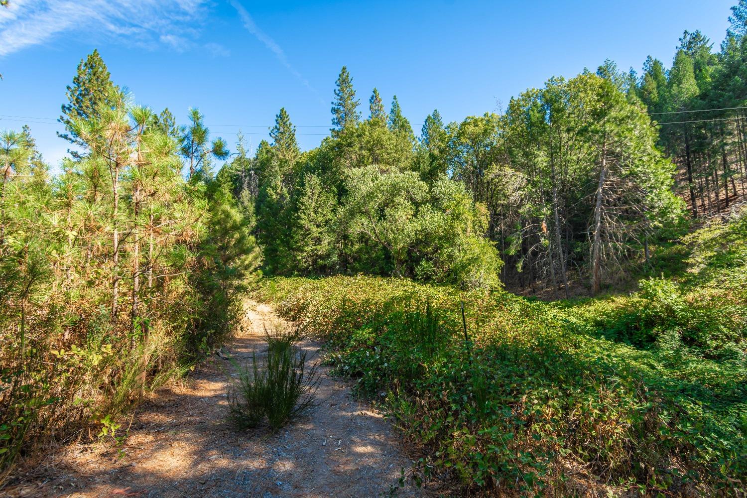 Detail Gallery Image 27 of 39 For 5080 Black Oak Mine Road Rd, Garden Valley,  CA 95633 - 2 Beds | 1 Baths