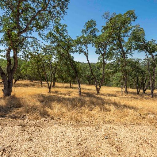 Detail Gallery Image 1 of 17 For 6630 Western Sierra Way, El Dorado Hills,  CA 95762 - – Beds | – Baths