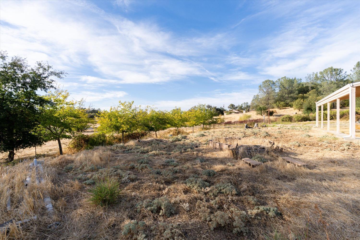 Oakvale Avenue, Oroville, California image 18