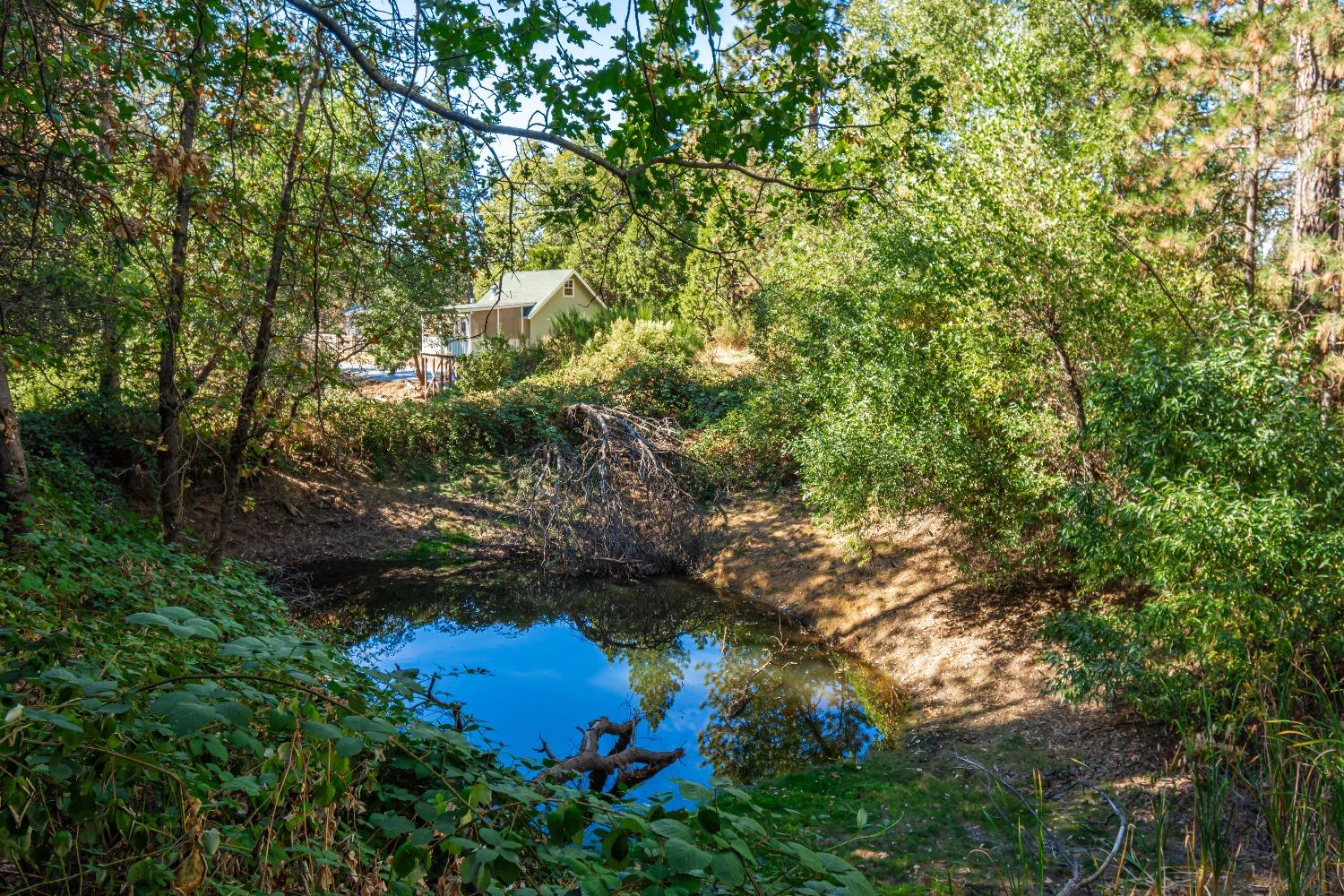 Detail Gallery Image 34 of 39 For 5080 Black Oak Mine Road Rd, Garden Valley,  CA 95633 - 2 Beds | 1 Baths