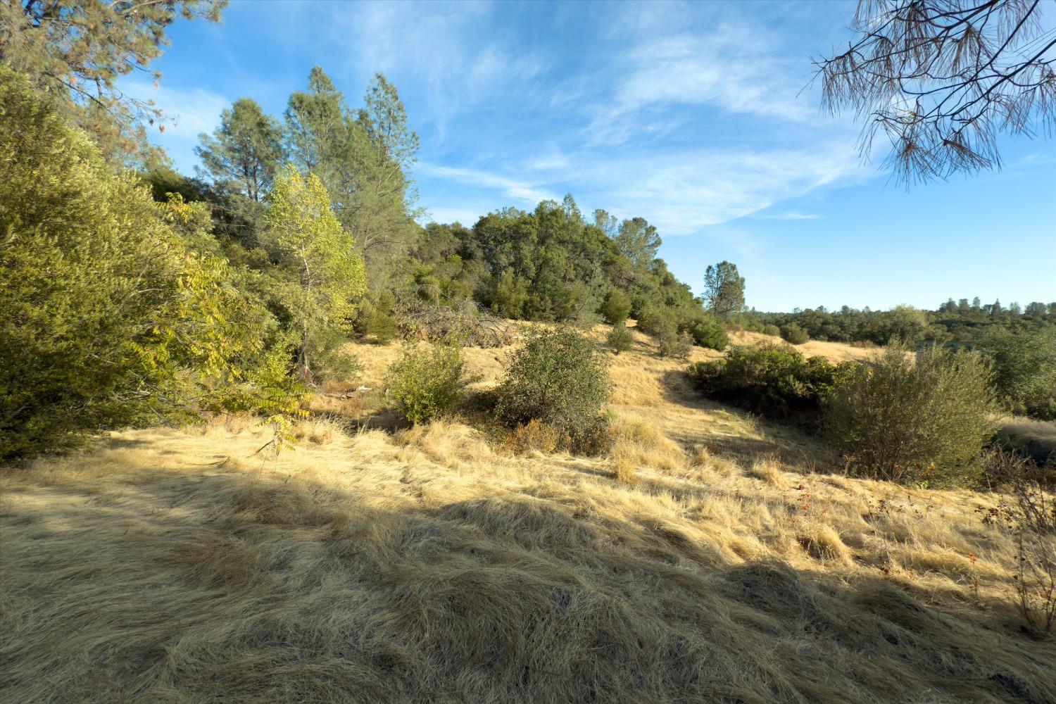 Oakvale Avenue, Oroville, California image 38