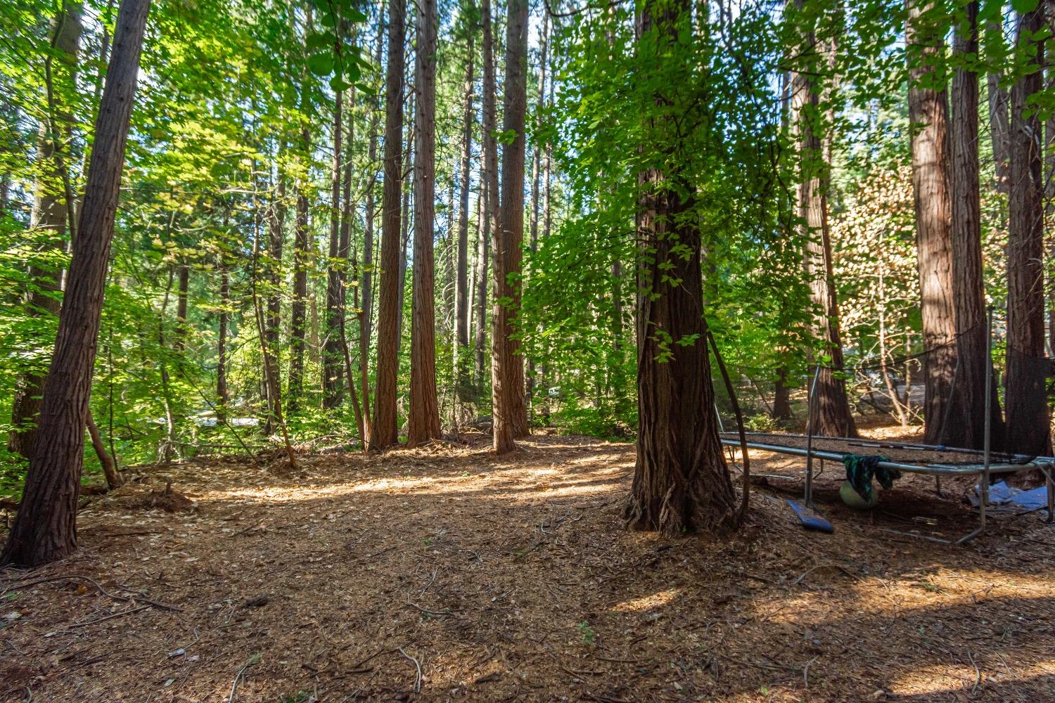 Detail Gallery Image 64 of 68 For 6488 Misery Ln, Pollock Pines,  CA 95726 - 3 Beds | 2/1 Baths