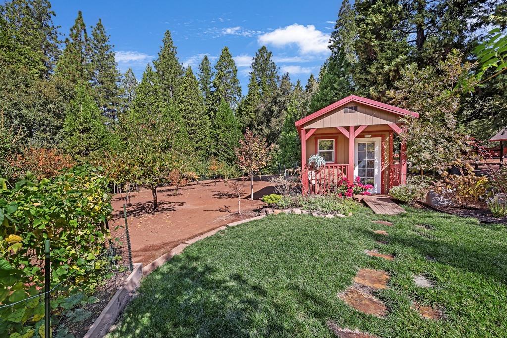 Detail Gallery Image 35 of 42 For 21985 Shake Ridge Rd, Volcano,  CA 95689 - 3 Beds | 2 Baths