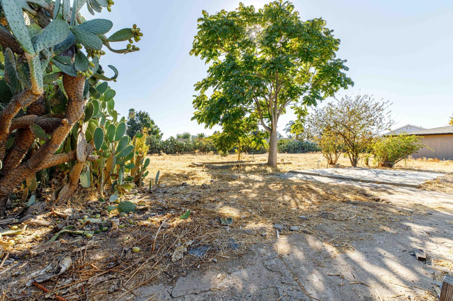 Rocky Lane, Riverbank, California image 21