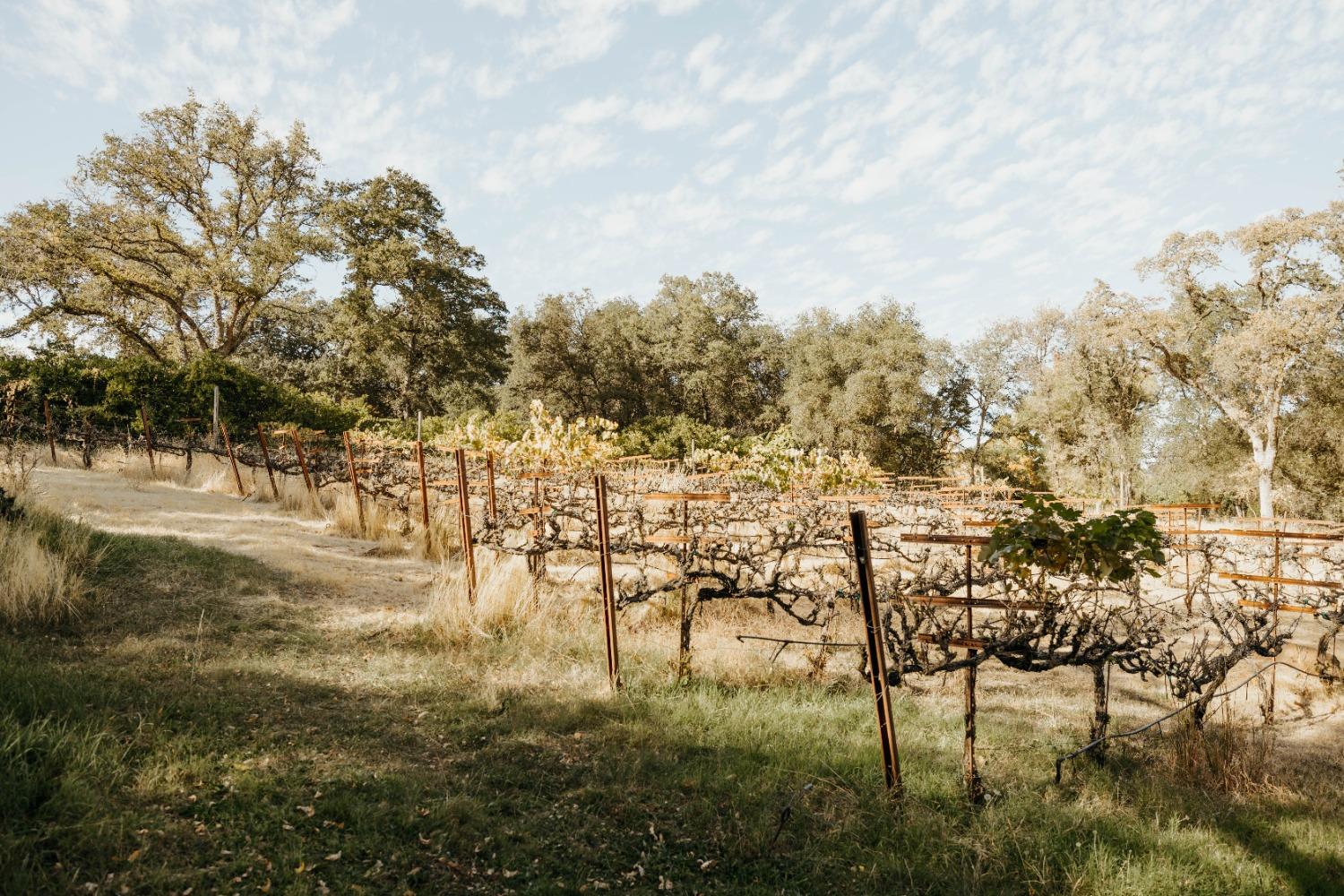 Detail Gallery Image 38 of 53 For 13975 Moss Rock Dr, Auburn,  CA 95602 - 4 Beds | 3/1 Baths