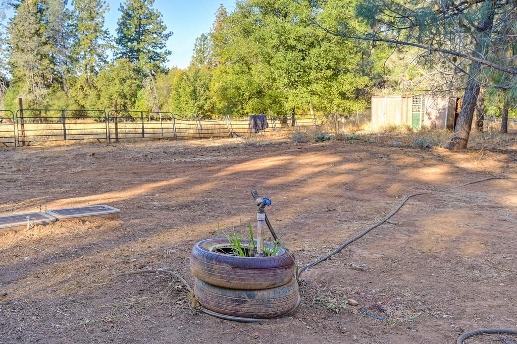 Detail Gallery Image 34 of 50 For 19677 Shake Ridge Road, Volcano,  CA 95689 - – Beds | – Baths