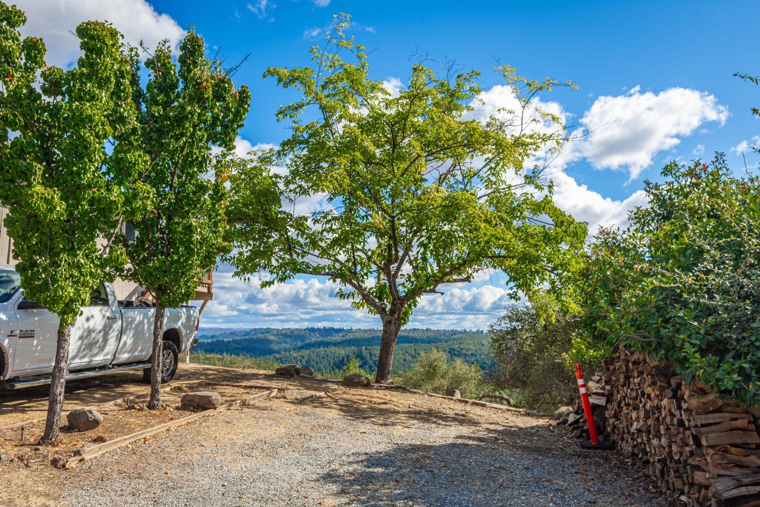 Detail Gallery Image 5 of 65 For 1606 Country Club Dr, Placerville,  CA 95667 - 3 Beds | 2 Baths