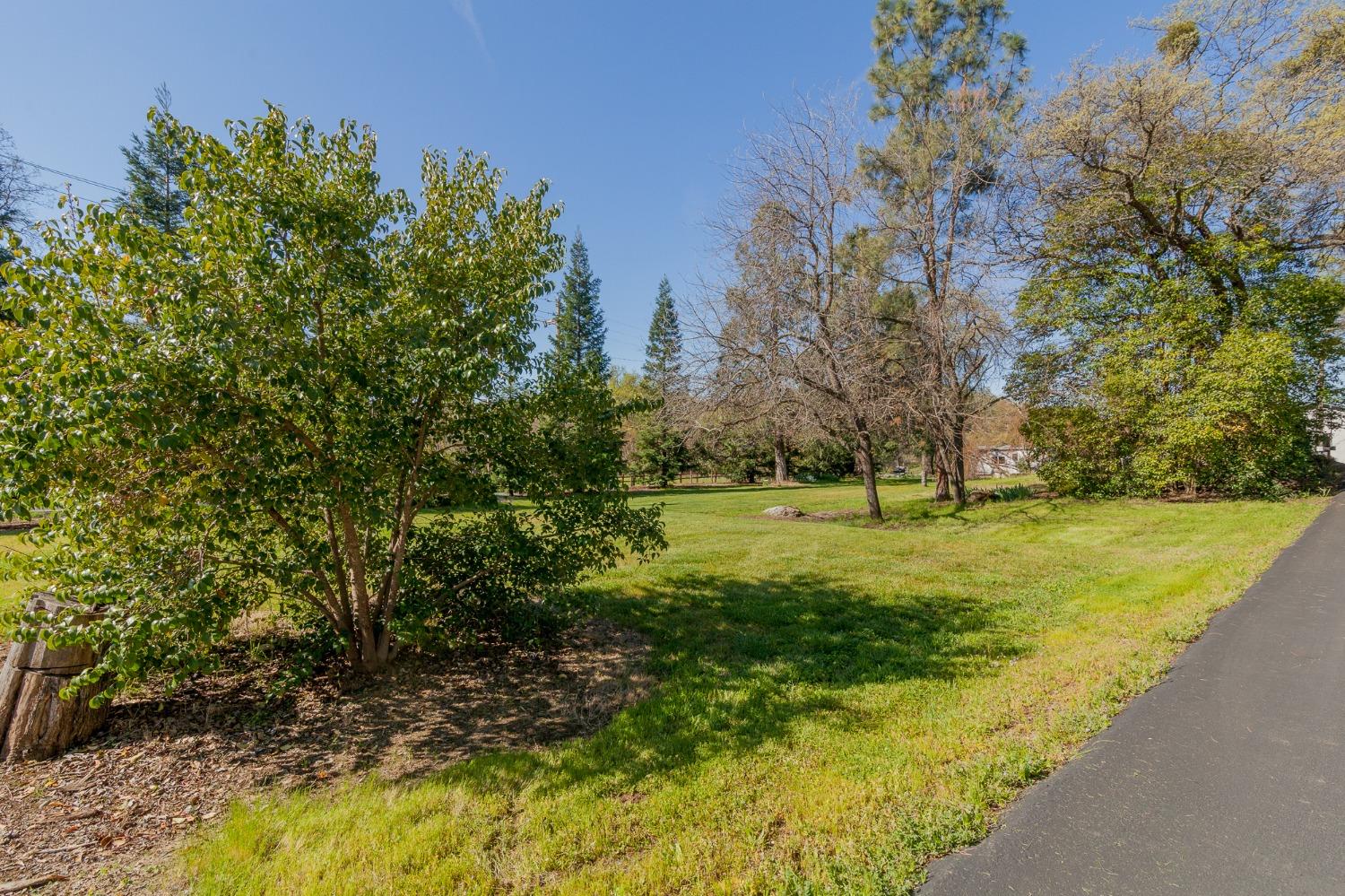 Detail Gallery Image 20 of 79 For 8825 Old Sacramento Road 29, Plymouth,  CA 95669 - 3 Beds | 2 Baths