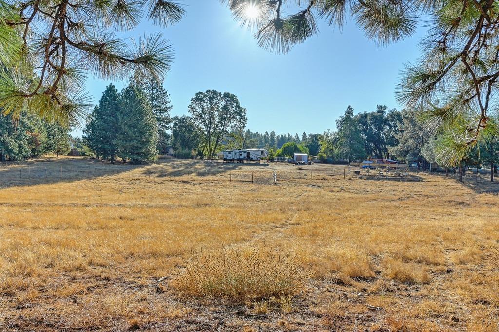 Detail Gallery Image 25 of 50 For 19677 Shake Ridge Road, Volcano,  CA 95689 - – Beds | – Baths