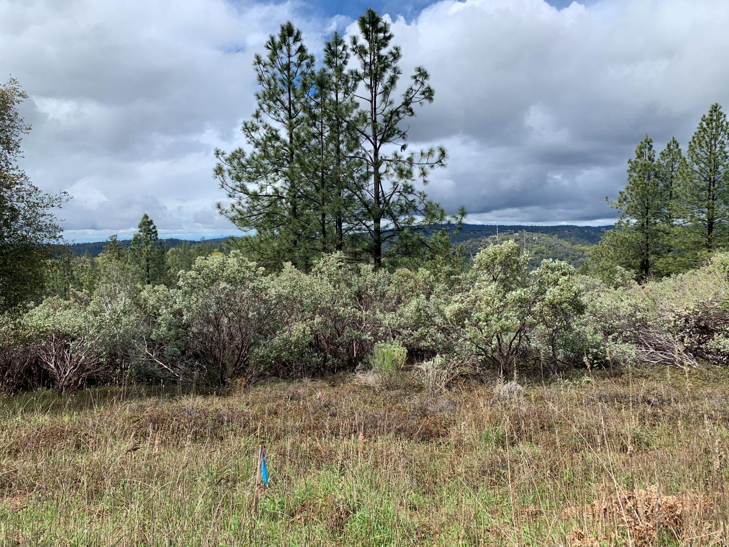 Detail Gallery Image 15 of 16 For 17242 River Ranch Rd, Grass Valley,  CA 95949 - – Beds | – Baths