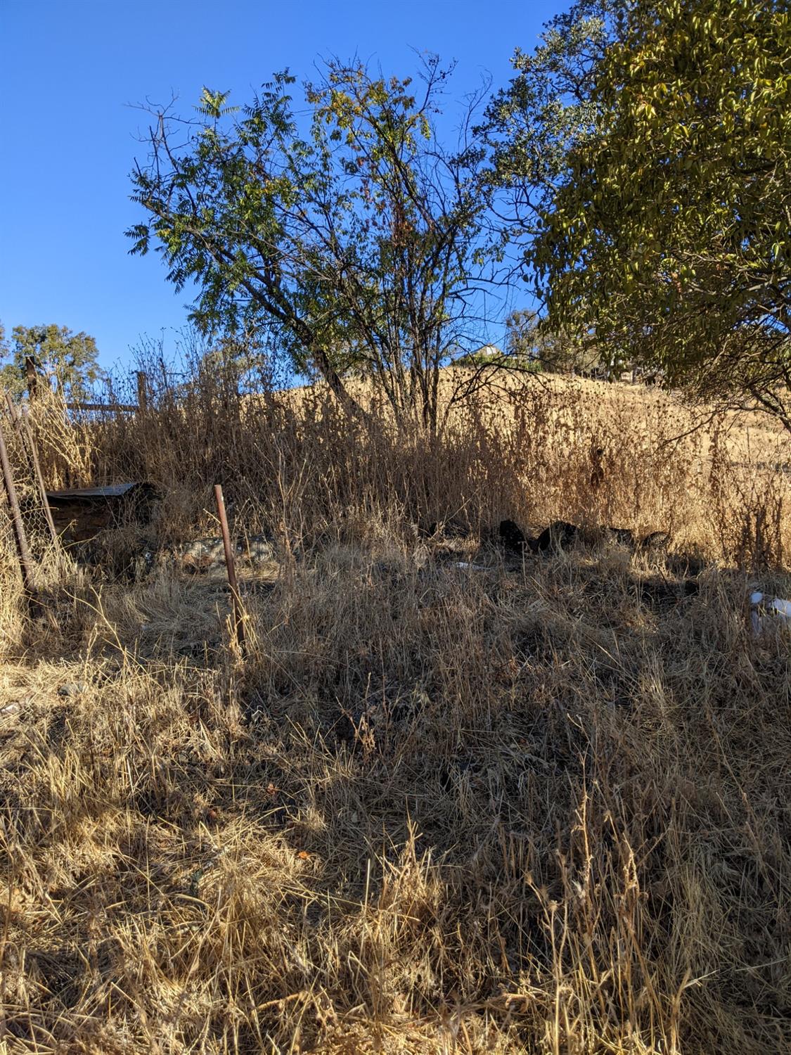 Fremont Mine Road, Amador City, California image 7