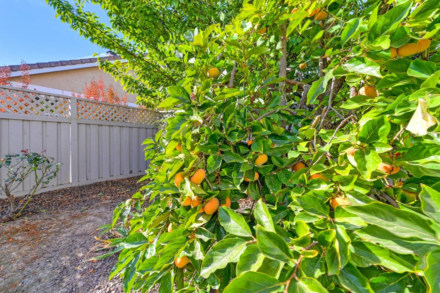 Detail Gallery Image 24 of 25 For 7800 Rosestone Ln, Roseville,  CA 95747 - 3 Beds | 2 Baths