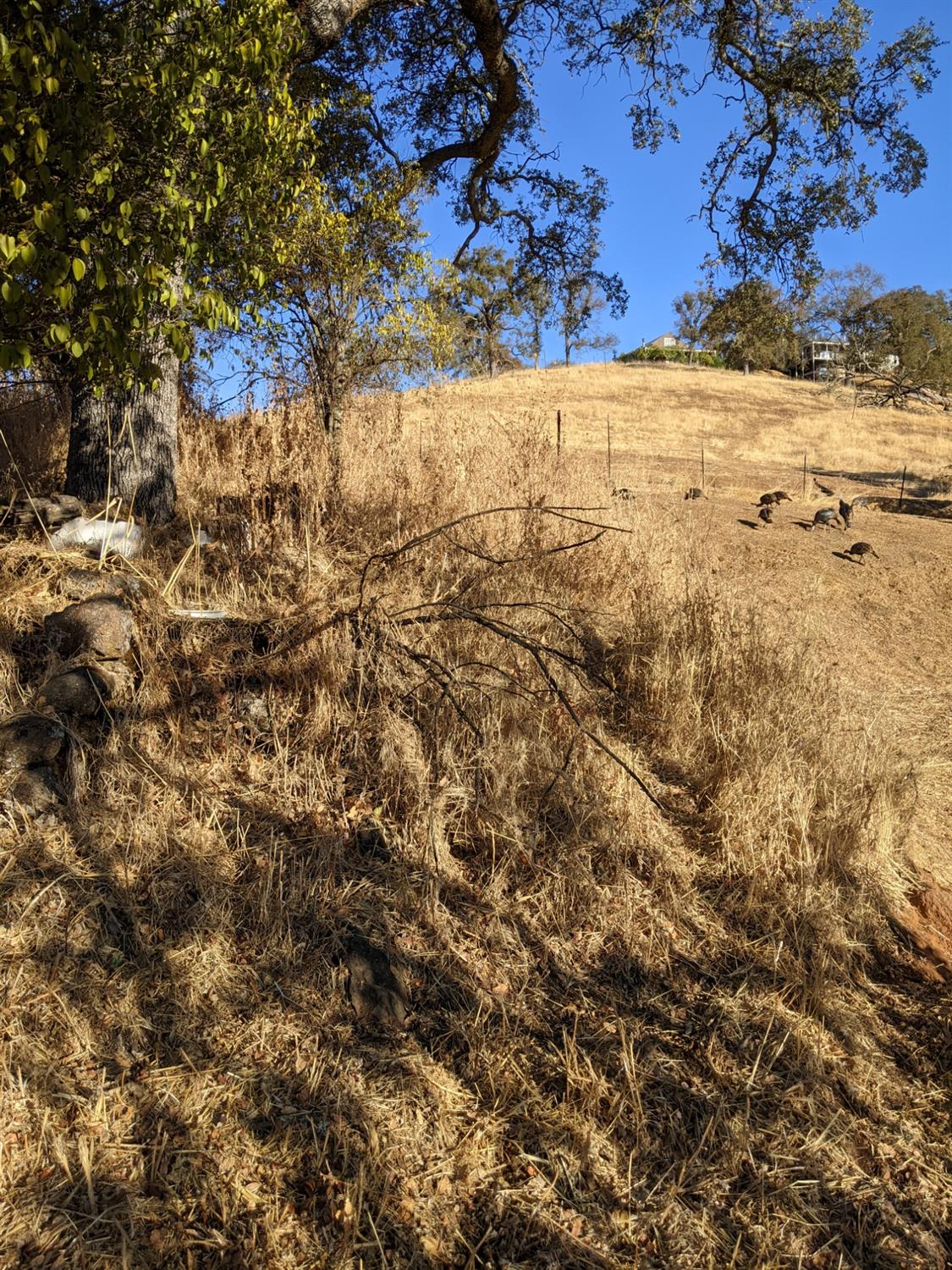 Fremont Mine Road, Amador City, California image 9