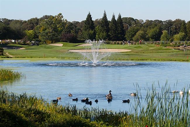 Detail Gallery Image 61 of 61 For 6065 Plum Canyon Ln, Roseville,  CA 95747 - 2 Beds | 2 Baths