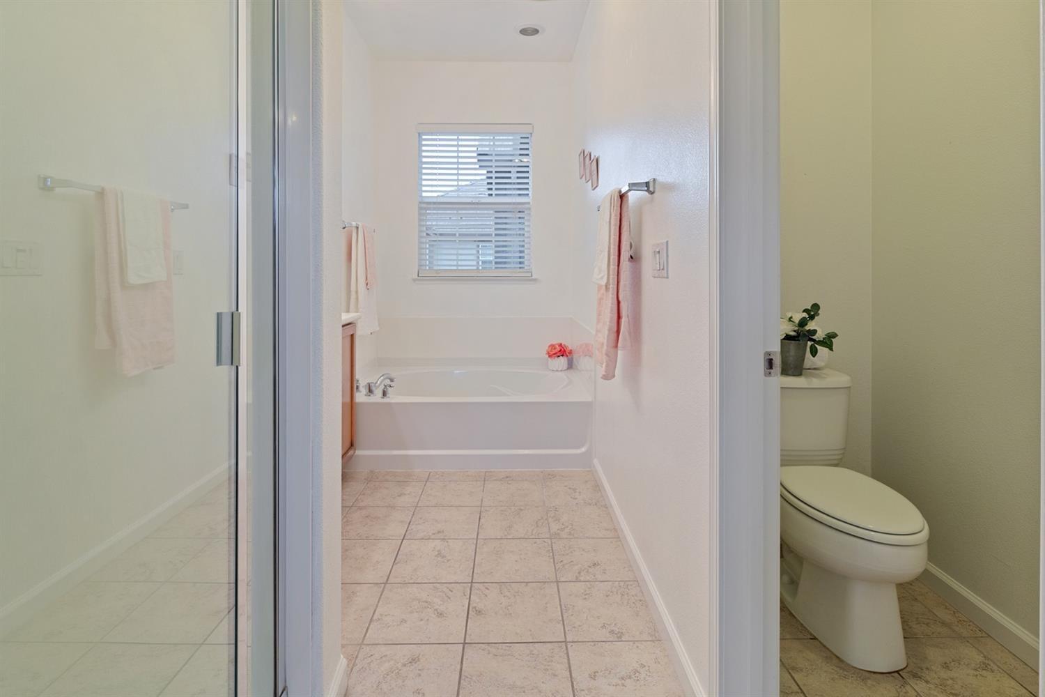 Detail Gallery Image 18 of 26 For 177 S Veracruz Pl, Mountain House,  CA 95391 - 3 Beds | 2/1 Baths