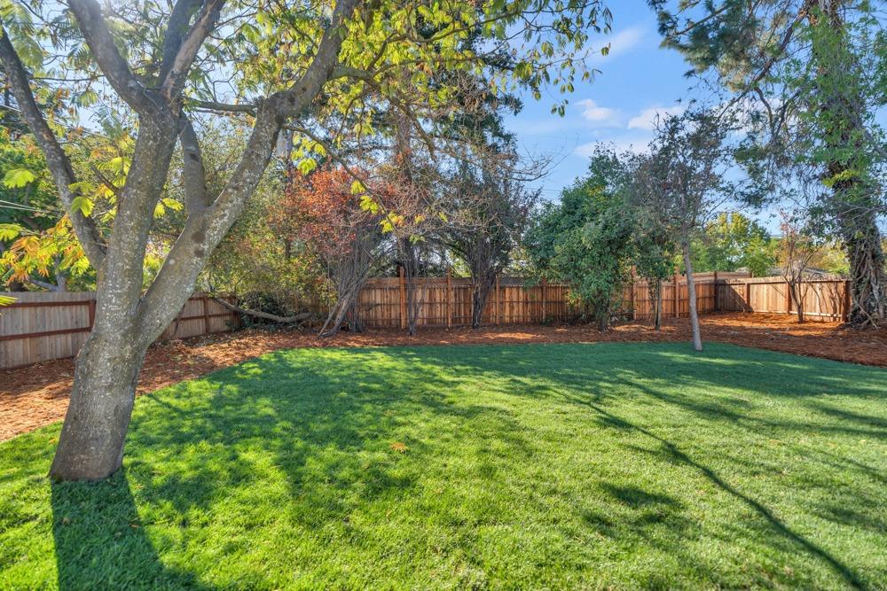 Detail Gallery Image 51 of 55 For 9442 Shumway Dr, Orangevale,  CA 95662 - 4 Beds | 2 Baths