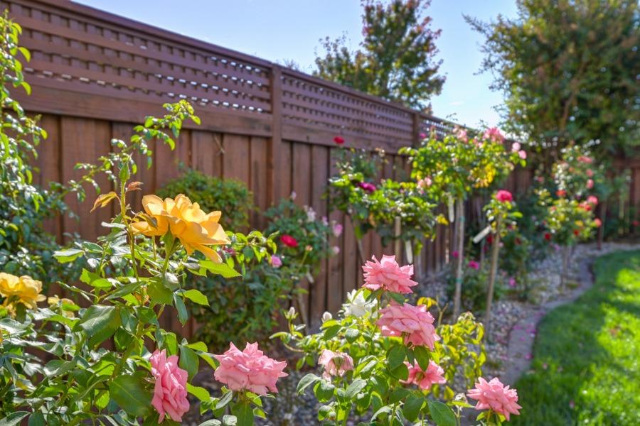 Detail Gallery Image 84 of 86 For 9413 Winding River Way, Elk Grove,  CA 95624 - 4 Beds | 3 Baths